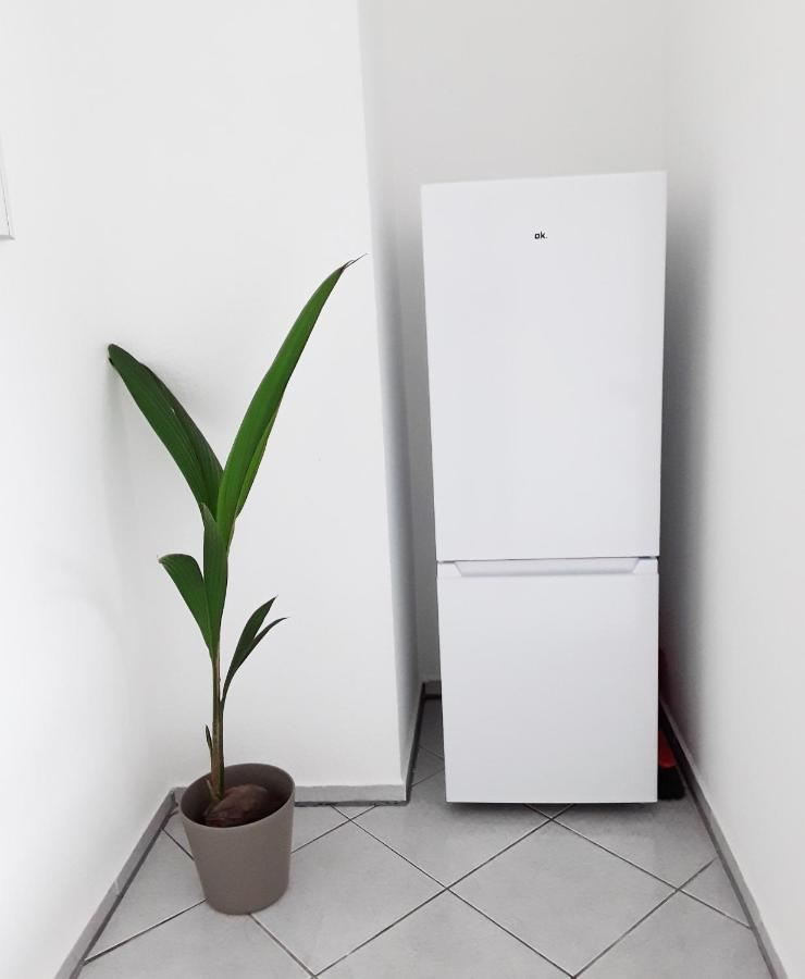 Schoene, Ruhige Zweiraumwohnung Im Angesagten Altlindenau Leipzig Bagian luar foto